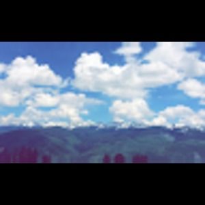 Meet your Posher, Riley